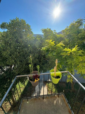 Golija holiday Home